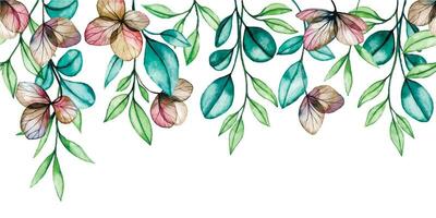 watercolor pattern, seamless border, frame with transparent eucalyptus leaves and dry hydrangea flowers. vector