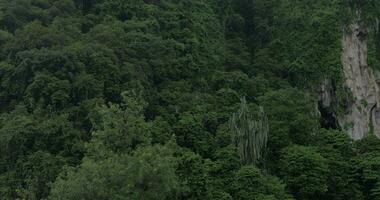 visto verde montañas y estatua de murugan a batu cuevas video