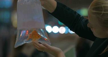 Woman holds in hand plastic package with aquarium gold fish in the shopping mall Hong Kong, China video