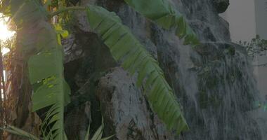 rocoso cascada en el jardín a puesta de sol video