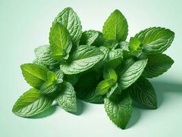 Fresh Mint Leaves On A Green Background. AI Generated photo