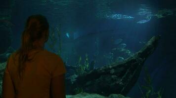 Young woman in Bangkok, Thailand at the oceanarium of Siam Ocean World watching on fish video