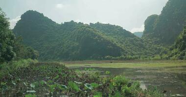 cementerio en agua entre el verde islotes, Vietnam video