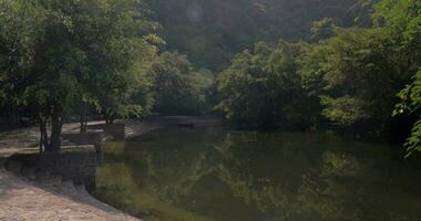 camino entre el arboles cerca estanque trang un, Vietnam video