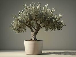 un aceituna árbol en un blanco maceta en un mesa. ai generado foto