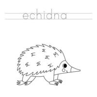 Trace the letters and color cartoon echidna. Handwriting practice for kids. vector