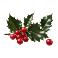 Holly leaves and berries Ai Generative png