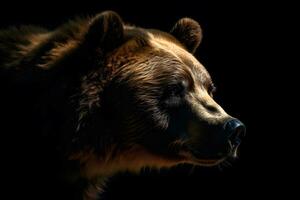 Close up of Brown bear in the dark black background with low light and high contrast. Generative AI photo