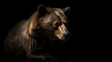 Close up of Brown bear in the dark black background with low light and high contrast. Generative AI photo