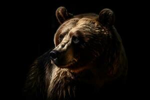 Close up of Brown bear in the dark black background with low light and high contrast. Generative AI photo