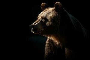 Close up of Brown bear in the dark black background with low light and high contrast. Generative AI photo