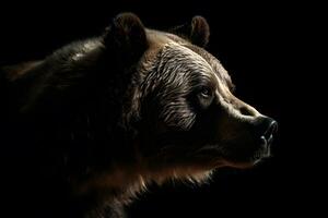 Close up of Brown bear in the dark black background with low light and high contrast. Generative AI photo