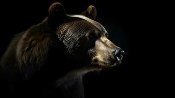 Close up of Brown bear in the dark black background with low light and high contrast. Generative AI photo