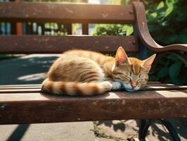pequeño linda gato dormido en un banco en el jardín de ciudad parque. generativo ai. foto