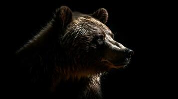 Close up of Brown bear in the dark black background with low light and high contrast. Created with generative AI technology photo