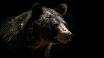 Close up of Brown bear in the dark black background with low light and high contrast. Generative AI photo