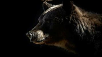 Close up of Brown bear in the dark black background with low light and high contrast. Generative AI photo