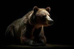 Close up of Brown bear in the dark black background with low light and high contrast. Generative AI photo