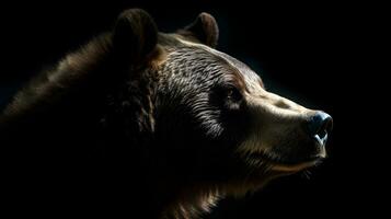 Close up of Brown bear in the dark black background with low light and high contrast. Generative AI photo