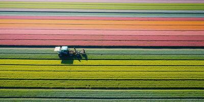 generativo ai, granja vistoso paisaje, agrícola campos, hermosa campo, país la carretera. naturaleza ilustración, parte superior ver zumbido, horizontal bandera. foto