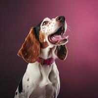 Generative AI, Portrait of a happy dog looking at the camera with mouth open on pink background photo