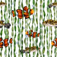 sömlös mönster med färgrik tropisk clown fisk, leopard fisk och tång. bakgrund för textilier, tyger, banderoller, omslag papper, tapet och Övrig mönster. png