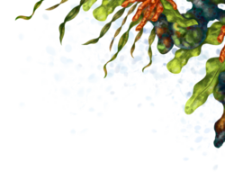 horisontell marin ram tillverkad av tropisk koraller, alger, stenar. under vattnet vild värld, digital illustration. för design, förpackning, affischer, vykort, textil- souvenirer png