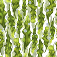 Seamless pattern with thickets of bright green seaweed. Background for textiles, fabrics, banners, wrapping paper, wallpaper and other designs. png