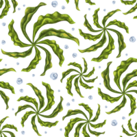 Seamless pattern with thickets of bright green seaweed and water bubbles. Background for textiles, fabrics, banners, wrapping paper, wallpaper and other designs png