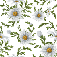 Seamless hand drawn pattern with white chamomiles. Flower background for textiles, fabrics, banner, wrapping paper and other designs. Digital illustration png