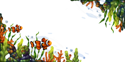 en ljus ram sammansättning med ett under vattnet värld. röd korall, tång, tropisk clown fisk. digital illustration. för utskrift, klistermärken, affischer, vykort, grafik. png