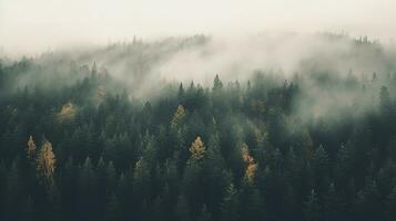 Generative AI, Misty autumn fir forest beautiful landscape in hipster vintage retro style, foggy mountains and trees. photo