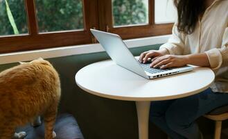 woman working from home with cat. cat asleep on the laptop keyboard. assistant cat working at Laptop photo