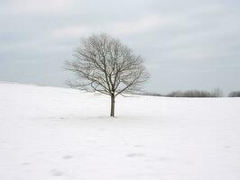 Minimalist winter landscape composition AI Generative photo