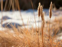 Minimalist winter landscape composition AI Generative photo