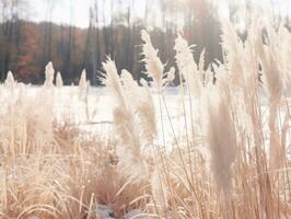 Minimalist winter landscape composition AI Generative photo