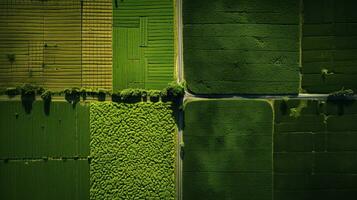 Generative AI, Farm landscape, agricultural fields, beautiful countryside, country road. Nature Illustration, photorealistic top view drone, horizontal banner. photo