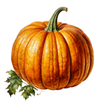 Pumpkin in watercolor style on transparent background, created with generative AI png