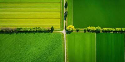 Generative AI, Farm landscape, agricultural fields, beautiful countryside, country road. Nature Illustration, photorealistic top view drone, horizontal banner. photo