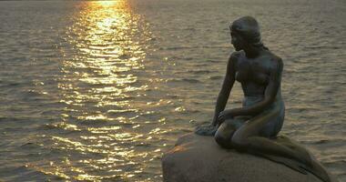 il poco sirena statua nel Copenaghen, Danimarca video