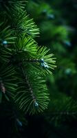 AI Generative Beautiful background image of natural green fresh spruce branches photo
