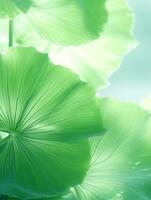AI Generative Green lotus petal texture photo