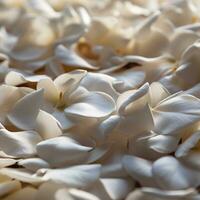 AI Generative White Lotus petals photo