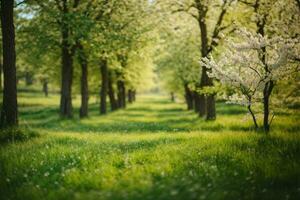 primavera naturaleza. hermosa paisaje. verde césped y arboles ai generado foto