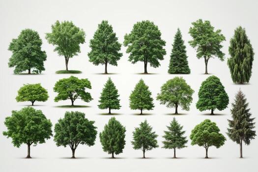 Set of green trees isolated on white background. Different kinds of tree collection. AI generated photo