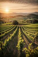 Vineyards at sunset. AI generated photo