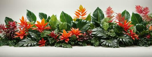 Tropical leaves foliage plant jungle bush floral arrangement nature backdrop isolated on white background, clipping path included.. AI generated photo