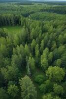 aéreo parte superior ver de verano verde arboles en bosque en rural Finlandia.. ai generado foto