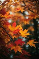 Colorful autumn maple leaves on a tree branch. AI generated photo