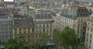gregge di piccioni volante nel Parigi video